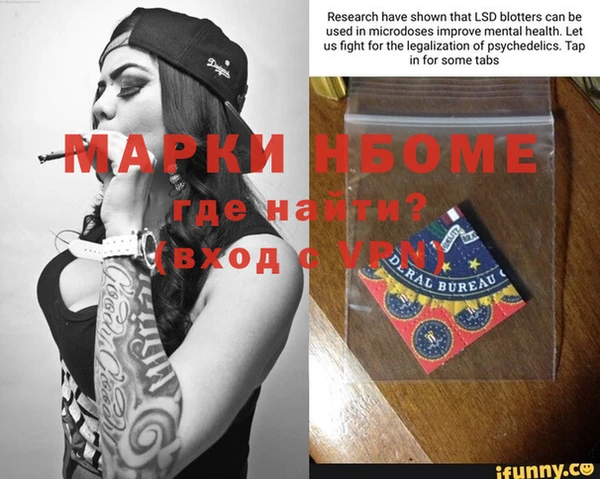 амф Новозыбков