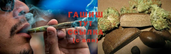 прущие грибы Няндома