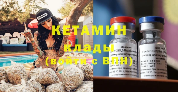 прущие грибы Няндома