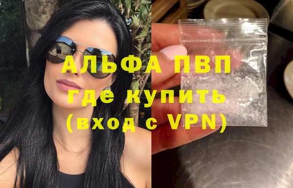 амф Новозыбков