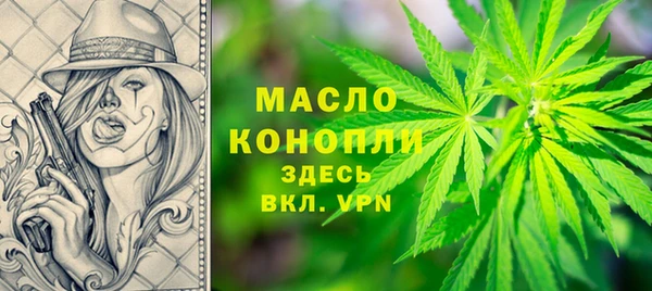 амф Новозыбков