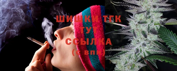 амф Новозыбков