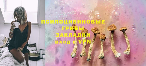 амф Новозыбков