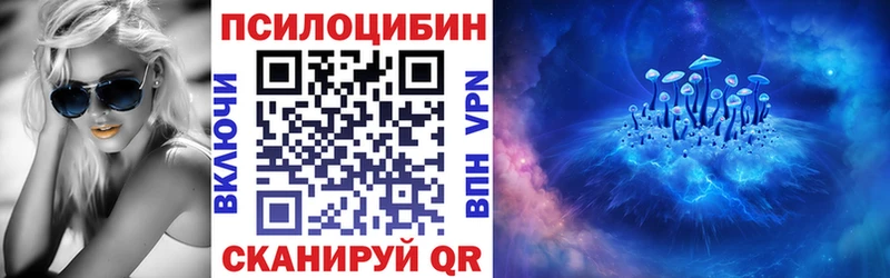 Галлюциногенные грибы Psilocybe  Чернушка 
